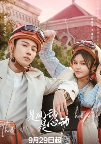 Ветер ли, сердце ли